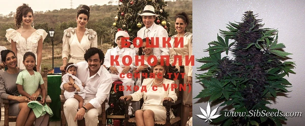 гашишное масло Белокуриха